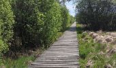 Trail Walking Waimes - petit tour en Brackvenn  - Photo 12
