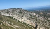 Trail Trail Saint-Rémy-de-Provence - Footing plateau de la Caume - Photo 1