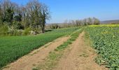Percorso Marcia Étampes - Etampes - Sentier des plateaux - Photo 16