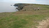 Trail Walking Locmaria - belle île de la pointe de Pouldon à la plage de Herlin - Photo 5