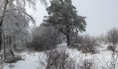 Percorso Marcia Spa - berinzenne entre fagne et bois dans le brouillard - Photo 20