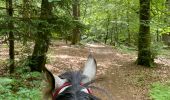 Trail Horseback riding Habay - Les 4 fils saumon à cheval - Photo 7