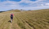 Tour Wandern Omblèze - Plateau d Ambel - Photo 4