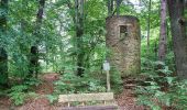 Trail On foot Mariental - 4 Wälder Rundweg - Photo 8