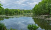 Percorso A piedi Schwielochsee - Rundwanderweg Großer Mochowsee - Photo 8