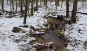 Trail Walking Spa - Fagne de Malchamps  - Photo 2