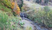 Tocht Stappen Mont-Dore - Le Sancy par le val Courre, sources Dore Dogne - Photo 1