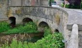 Tour Zu Fuß Steinheim - Vinsebeck - Photo 2