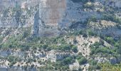 Trail Electric bike Monteux -  Carpentras gorges de la Nesque - Photo 8