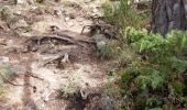 Tour Wandern Saint-Nectaire - LES GROTTES DE CHATEAUNEUF DEPUIS LE CAMPING DU VIGINET - Photo 18