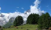 Trail Walking Sainte-Foy-Tarentaise - Col de l'aiguille par le lac du clou - Photo 5