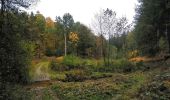 Randonnée V.T.T. Virton - La chaussée romaine entre Etalle et Sampont  -  Balade_VTT_53kms - Photo 14