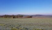 Tocht Mountainbike Saint-Clément - sortie vtt du 29122019 Sur le haut de Lunéville - Photo 9