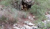 Percorso A piedi Le Beausset - les quatre frères de Daniel  - Photo 3