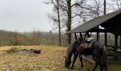 Tocht Paardrijden Paliseul - Fays les Veneurs - Auby - Photo 1