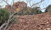 Trail Walking Saint-Raphaël - cap roux rocher barthelemy - Photo 7