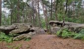 Tocht Stappen Fontainebleau - Fontainebleau Sentier Denecourt 17 - Photo 6