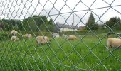 Tour Wandern Darnétal - 20210525-Roncherolles - Photo 17