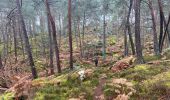 Excursión Marcha nórdica Fontainebleau - Départ ma faisanderie  - Photo 5