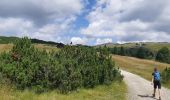 Tour Wandern Villanders - villander - Photo 14