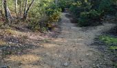 Tocht Stappen Ballancourt-sur-Essonne - Forêt Hospitalière de la Coudraye Ballancourt-sur-Essonne  - Photo 15