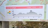 Trail Walking Kiischpelt - 2023-06-19_15h16m15_eislek-pad-lellingen-1 - Photo 1
