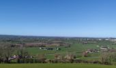 Trail Walking Plombières - A la découverte de Hombourg - Photo 13