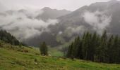 Excursión Ruta Gemeinde Kirchberg in Tirol - Aschau - Photo 13