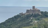 Tocht Stappen Port-Vendres - Port-Vendres - Photo 4