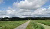 Randonnée Vélo électrique Savenay - Lac de Savenay /Lavau sur Loire  - Photo 5