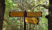 Tocht Stappen La Palud-sur-Verdon - le sentier Blanc Martel (Gorges du Verdon ) - Photo 14