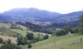 Trail Walking Elorrio - Chapelles - Photo 3