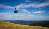 Tocht Te voet Feldberg - Feldbergsteig - Photo 1