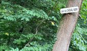 Trail Walking Ormoy-le-Davien - 060722 - Petite rando 10 km - Photo 4