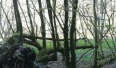 Tocht Stappen La Roche-en-Ardenne - Samrée  - Photo 2