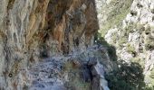 Tour Wandern Thuès-Entre-Valls - gorge de la Carança  - Photo 2