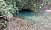 Randonnée Marche Montperreux - source bleue lac mal buisson - Photo 3