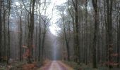 Randonnée Marche Cour-Maugis sur Huisne - La Maison de Maugis 8,2 Km - Photo 3