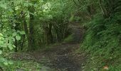 Trail Walking Soulom - Ortiac- Abbayie St Orens - Photo 10