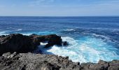 Trail Walking Yaiza - LANZAROTE 03 - El Golfo - Photo 19