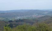 Excursión A pie Bad Sooden-Allendorf - Rundwanderweg BSA 1 zur Schönen Aussicht - Photo 8