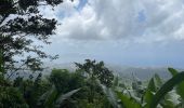 Tocht Noords wandelen Fort-de-France - Morne Césaire  - Photo 1