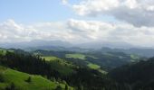 Percorso A piedi Sumiswald - Lüderenalp - Hohmattgäatterli - Photo 2