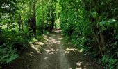 Trail Walking Hannut - La balade des chevées (5km)  - Photo 8