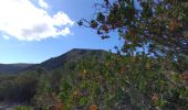 Trail Walking Lipari - lipari pierres ponces - Photo 2