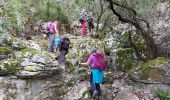 Trail Walking Claret - de claret vers corconne - Photo 16