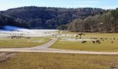 Tour Wandern Rochefort - Parc Animalier de Han - Photo 3