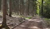 Tour Wandern Limburg - dolhain hèvremont 65 - Photo 1