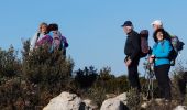 Trail Walking La Ciotat - la ciotat cap canaille - Photo 1