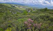 Tocht Stappen Le Castellet - Autour de la roche Redonne - Photo 13